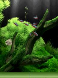 Jika anda sedang mencari template ppt yang gratis dan lucu, anda dapat menemukannya disini. Download Gratis Wallpaper Animasi Bergerak Animated Wallpapers For Mobile Moving Wallpapers Nature Wallpaper