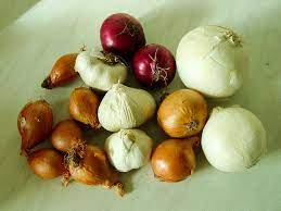Bawang besar mempunyai serat yang dapat membantu dan mengekalkan kesihatan dalam sistem penghadaman. Bawang Definition And Synonyms Of Bawang In The Malay Dictionary