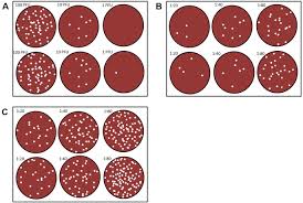 Image result for Neutralization Test