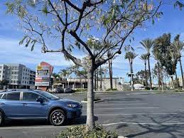 Direct to the list below and find out harvey j ross's 974 worcester ave, pasadena, ca and other data at cocofinder. Ross Dress For Less 3425 E Foothill Blvd Pasadena Ca Department Stores Mapquest
