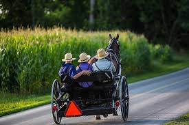 Indiana has famously beautiful amish communities in the northeastern part of the state, but there are several to explore in the southern region as well! Us States By Amish Population Worldatlas
