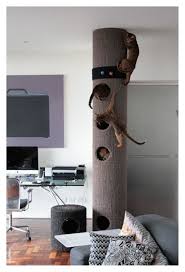 20 Most Popular Cat Tree Ideas You Will Love In 2020 Cat Scratcher Cat Diy Cat Playground