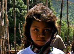 Annual Report 2011.pub