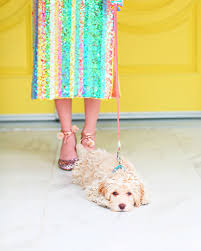 42.6 mi from palm desert. Meet Our New Puppy Odee Golightly Kelly Golightly