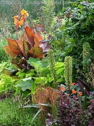 Pin On Garden Gardening