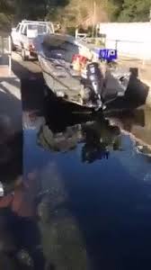 El Mejor Amigo Del Hombre Sin Dudas Mans Best Friend For Sho Funny Animals Dog Help Dog Gifs