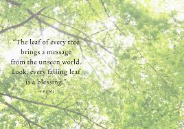 Shinrin Yoku Forest Bathing Rumi Rumi Quotes