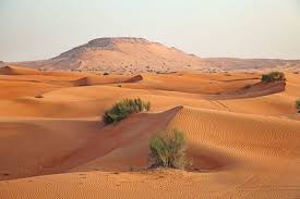 Arabian Desert - Sand, Rocks, Climate | Britannica