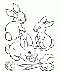 Selective breeding has generated a wide variety of rabbit breeds, many of which (since the early 19th century) are also kept as pets. Easy Bunny Eating Carrot Drawing Novocom Top