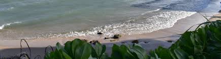 The city is named for the numerous deer that once roamed the area. Beach Conditions And Flags Deerfield Beach Fl Official Website