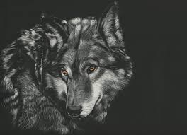 See more ideas about black wolf, wolf, beautiful wolves. Photo Wolves Black And White Head Animal Painting Art Black