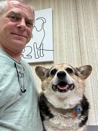 New rocky mountain spotted fever cases in dogs?