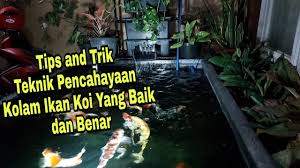 Teknik Pencahayaan Kolam Koi Yang Baik Dan Benar Untuk Malam Hari Tips And Trik Youtube