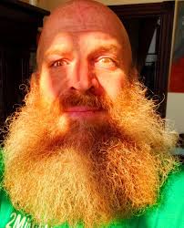 Do I have Viking heritage?