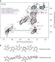 Folding Of Xylan Onto Cellulose Fibrils In Plant Cell Walls Revealed By Solid State Nmr Nature Communications