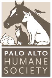 Search local pets adoption and sale listings in your area. Home Palo Alto Humane Society