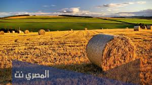 Maybe you would like to learn more about one of these? ØªÙØ³ÙŠØ± Ø±Ø¤ÙŠØ© Ø­Ù„Ù… Ø§Ù„Ø­ØµØ§Ø¯ ÙˆØ§Ù„Ø²Ø±Ø¹ ÙÙŠ Ø§Ù„Ù…Ù†Ø§Ù… Ù„Ø§Ø¨Ù† Ø³ÙŠØ±ÙŠÙ† Ø§Ù„Ù…ØµØ±ÙŠ Ù†Øª