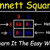 Relevant to student exploration chicken genetics answer key , encouraging website visitors to arrive. Https Encrypted Tbn0 Gstatic Com Images Q Tbn And9gctp Ys0ko2sbfsoyiqs Tvb0toq Lhh2qzfqldzf3miskarhmpj Usqp Cau