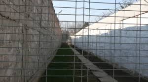 Alegeți dosarul de la ce instanță doriți şi se vor afişa informații generale despre dosar (data înregistrării în instanță, obiectul. Vicepresedintele Curtii De Apel Timisoara Si Sotia Audiati Pentru Coruptie Mobile