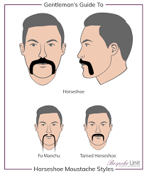 We did not find results for: How To Grow A Horseshoe Moustache Like Hulk Hogan