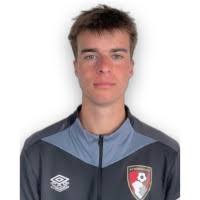 300+ "Harvey" profiles