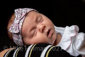 Mike Hillman Photography