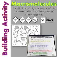 Biochemistry Tests For Food Macromolecules Carbohydrates Macromolecules Building Activity Macromolecules Biology Classroom Middle School Science Resources