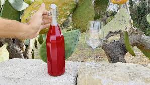 Cactus pear fruit wine with a total acidity of 12.39 ± 1.32 g/l equivalent to tartaric acid (ttae), alcohol content of 9 ± 0.31%, v/v, total antioxidant concentration of 235.3 ± 9.15 mg/l aae (ascorbic acid equivalent), and sensory acceptance of 7.74 ± 0.34 was produced at an optimized temperature of 30 °. Prickly Pear Wine Homemade Cactus Cuoredicioccolato