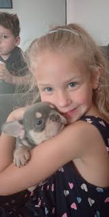 What advice do you have for a new Frenchie owner?