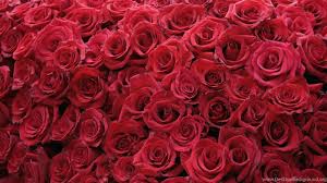 Wallpapercave is an online community of desktop wallpapers enthusiasts. Desktop 3d Love Rose Wallpaper Dowload Jpg Desktop Background