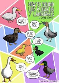 Ducks What Noises Do Animals Make In Other Languages Here Is An Important Guide Animal Sounds Language Different Languages