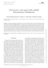 Image result for Polystachya bruechertiae