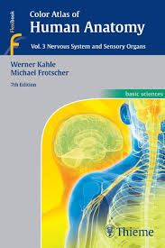 Anatomy Color Atlas Of Human Anatomy Vol 3