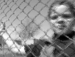 ABC Amber PDF Merger