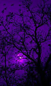 Hot air balloons light up the night sky. Dark Purple Night Sky Aesthetic Purple Aesthetic Purple Wallpaper Purple Wallpaper Iphone