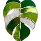 Stained Glass Monstera Workshop