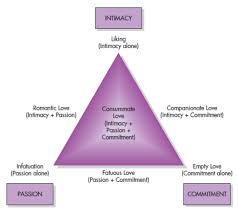 Sternberg S Triangular Theory Of Love Family Stress Theory Psychology Blog Psychology