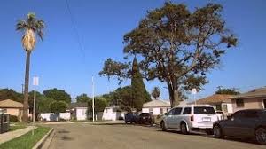 We did not find results for: Grove Street In Real Life Compton Ca Youtube