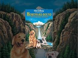 Check spelling or type a new query. Homeward Bound The Incredible Journey Youtube