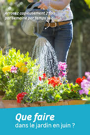 Decouvrez Nos Conseils De Jardinage En 2020 Jardins Conseils De Jardinage Calendrier Du Jardinier