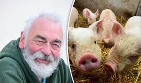 Extinct pig breed could return thanks to DNA of old hide
