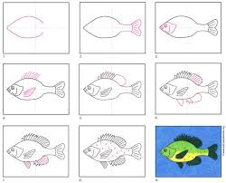 How To Draw A Fish Art Projects For Kids Fish step by step drawing. how to draw a fish art projects for kids