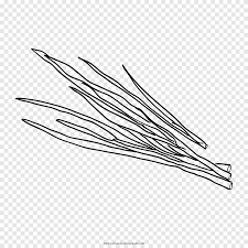 Giraffe standing near the tree. Coloring Book Chives Drawing Allium Fistulosum Ausmalbild Halloween Halloween Adult Grass Png Pngegg
