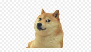 From wikipedia, the free encyclopedia. Doge Png Free Doge Png Transparent Images 28940 Pngio