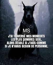 Epingle Sur Quotes Paroles Motivation