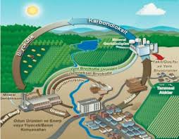 Yavaş yavaş enerji kaynaklarını tüketmeye başladık ve bundan sonraki süreçte, yenilenebilir kaynaklara ihtiyacımız var. Biyokutle Enerjisi Nedir Enerji Portali