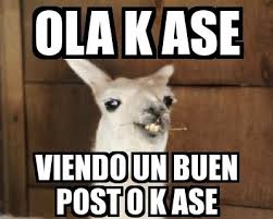 Por Que Nos Fascinan Los Memes Cual Es Su Secreto