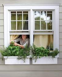 16 Small Space Garden Ideas To Help You Make The Most Of Any Outdoor Area Window Herb Garden Window Box Garden Small Space Gardening