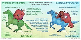 Image result for Systolic Dysfunction