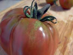 A layer of grounds around the base of a rhododendron shrub will deter the. Coffee Grounds Fertilize Tomatoes Ground To Ground